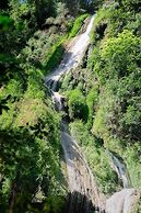 Luxury Camp@Green Jungle Park