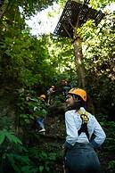 Luxury Camp@Green Jungle Park