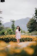 Luxury Camp@Green Jungle Park