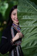 Luxury Camp@Green Jungle Park