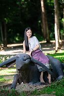 Luxury Camp@Green Jungle Park