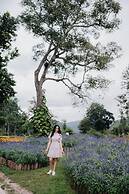 Luxury Camp@Green Jungle Park