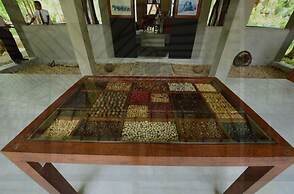 Nil diya mankada safari lodge