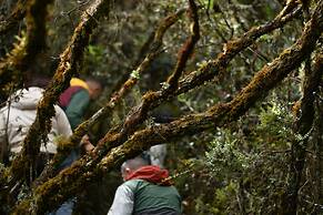 Estancia San Antonio
