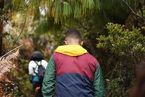 Estancia San Antonio