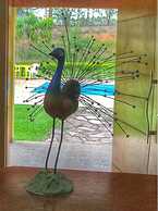 Pousada Chácara Sonho