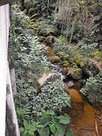 Pousada Cascata dos Amores