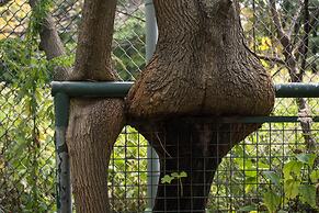 The Old Catskill Game Farm Inn