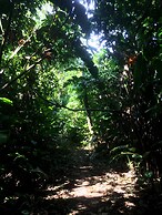 Area de Conservacion Bahuaja - Ecolodge