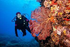 Golden Lotus Central Hotel