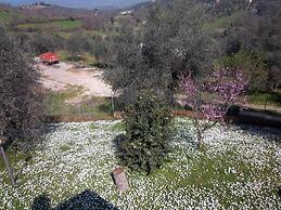 Agriturismo Norianino