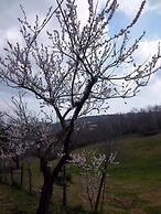 Agriturismo Norianino