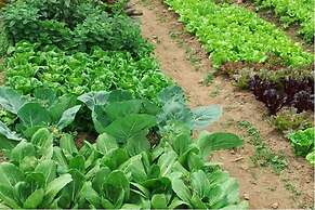 Gyeongju Raspberry Pension