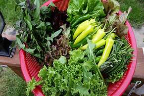 Gyeongju Raspberry Pension