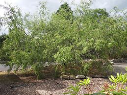 Ethan House Killarney