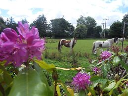 Ethan House Killarney