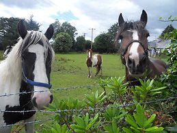 Ethan House Killarney