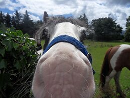 Ethan House Killarney