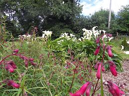 Ethan House Killarney