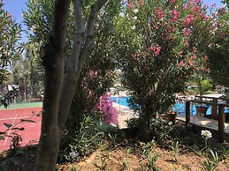 Splendid Valley & Sea View