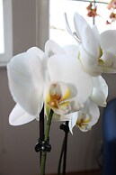 Ferienwohnung Orchidee
