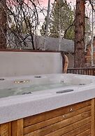 Inn Between Pines#1411