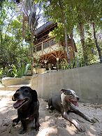 Universo Pol Bamboo Hostel