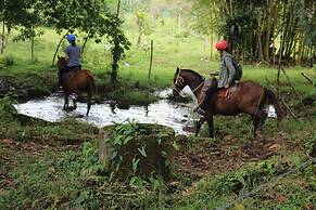 Cabinas Sueño Real Guatuso