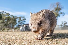 Crowne Plaza Hobart by IHG