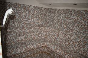 Balneo Hotel Pavel Banya