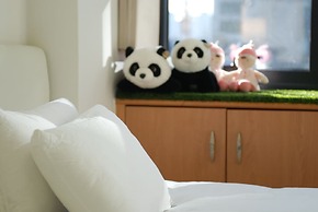 KPOP Coex Gangnam Stay