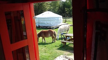 Yourtes Du Moulin Bertrand