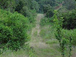 Le Pristine Wellness and Healing Hotel