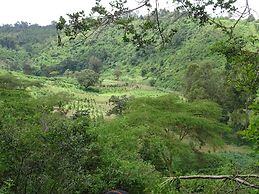 Le Pristine Wellness and Healing Hotel