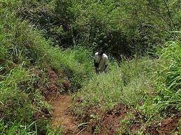 Le Pristine Wellness and Healing Hotel