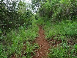 Le Pristine Wellness and Healing Hotel