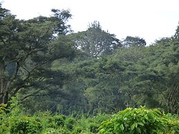 Le Pristine Wellness and Healing Hotel