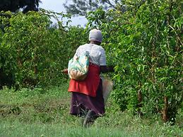 Le Pristine Wellness and Healing Hotel