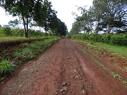 Le Pristine Wellness and Healing Hotel