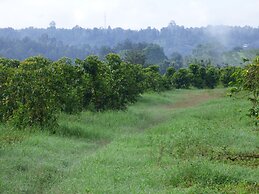 Le Pristine Wellness and Healing Hotel