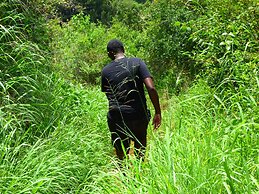 Le Pristine Wellness and Healing Hotel