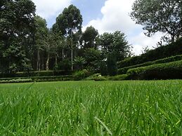 Le Pristine Wellness and Healing Hotel