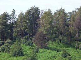 Le Pristine Wellness and Healing Hotel