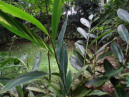 Le Pristine Wellness and Healing Hotel