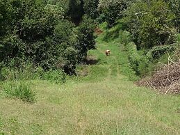 Le Pristine Wellness and Healing Hotel