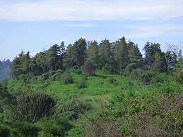 Le Pristine Wellness and Healing Hotel