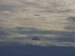 Le Pristine Wellness and Healing Hotel