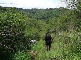 Le Pristine Wellness and Healing Hotel