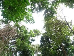 Le Pristine Wellness and Healing Hotel