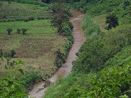 Le Pristine Wellness and Healing Hotel